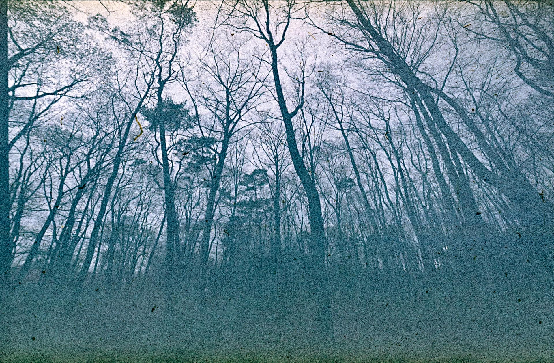 Thumbnail /2022 Brandenburg/Fürstenwalde/Fürstenwalde Stadtpark.jpg